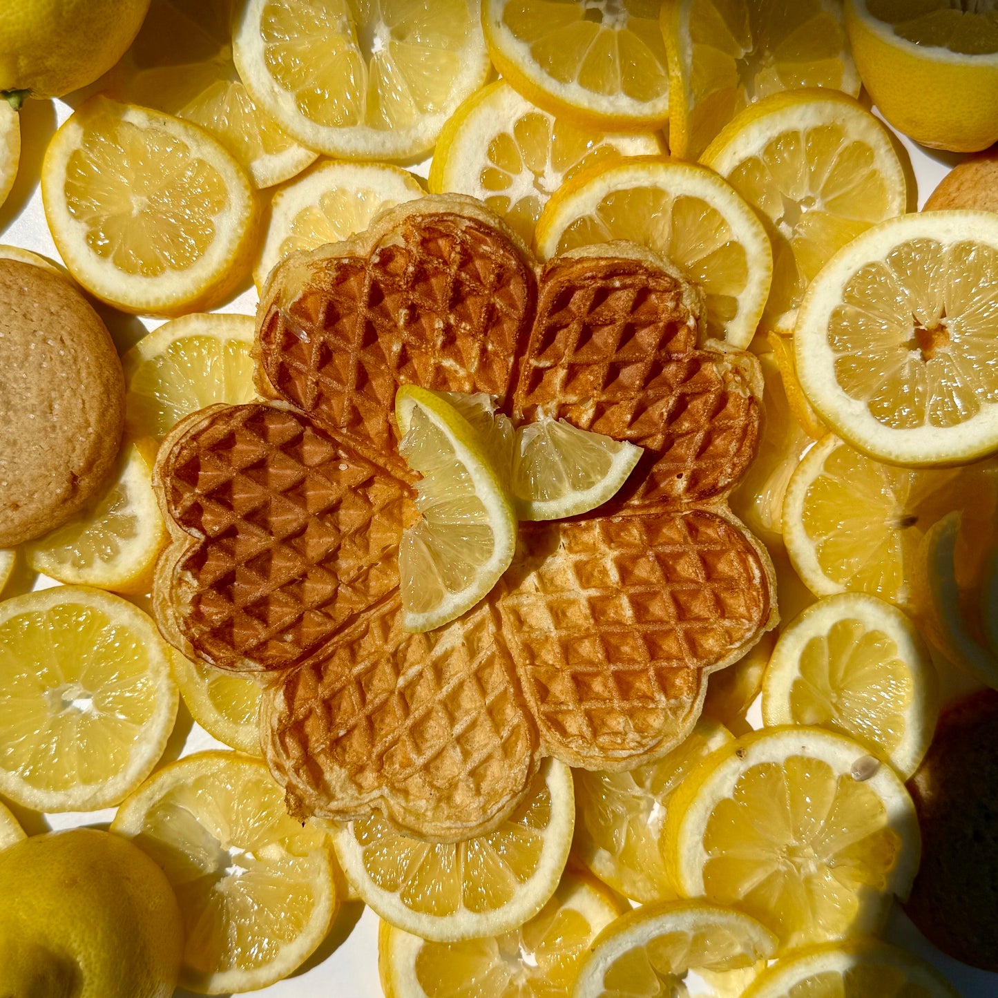 Lemon Cream Waffles (limited edition)