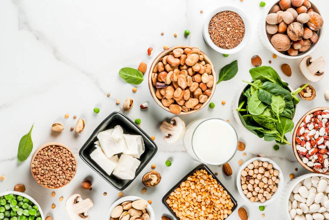 Why protein is important to our health
