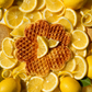 Lemon Cream Waffles (limited edition)